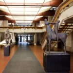 parte delle opere nel museo