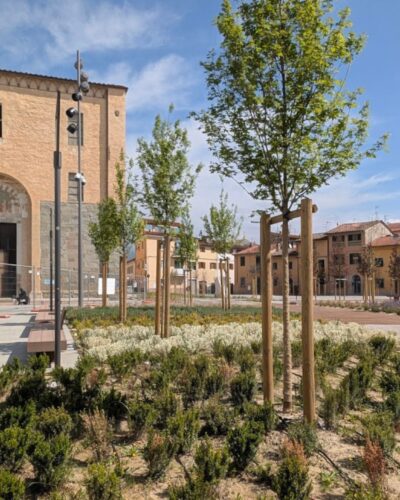 riapertura di piazza san lorenzo